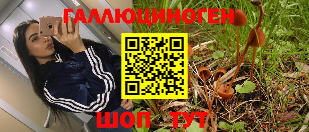 Псилоцибиновые грибы мухоморы  Вход с VPN  Жуковский 