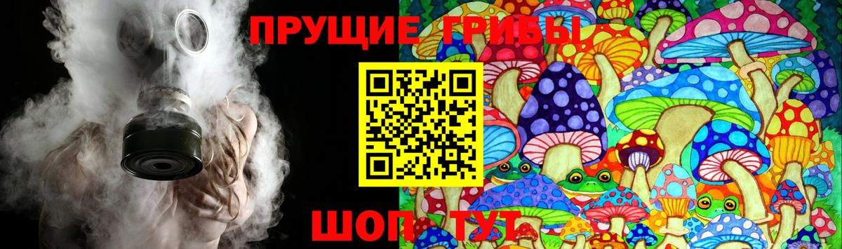 Галлюциногенные грибы Psilocybine cubensis Жуковский